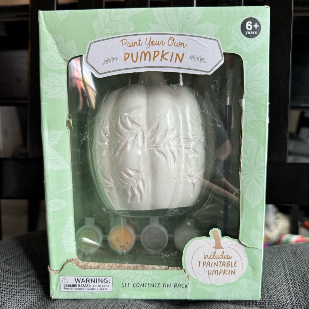 NWT Paint Your Own Pumpkin Set